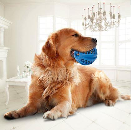 Žvýkací míček pro psy na čištění zubů