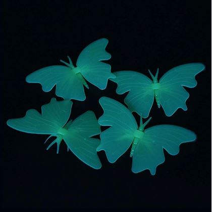 Obrázek z Svítící motýlci