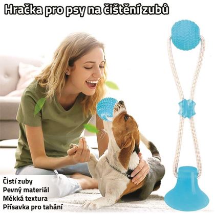 Obrázek z Hračka pro psy na čištění zubů