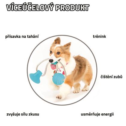 Obrázek z Hračka pro psy na čištění zubů