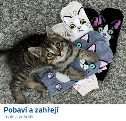 ponožky s kočkou 