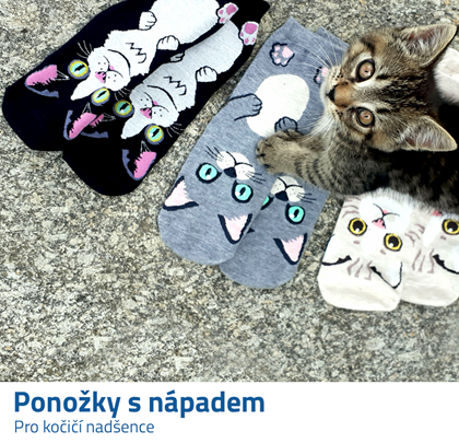 	dámské ponožky s kočkami