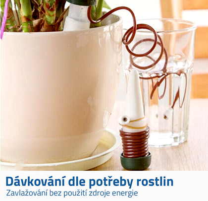 Závlaha 