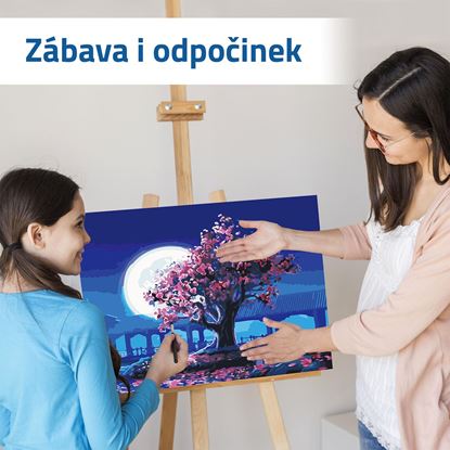 Malování podle čísel