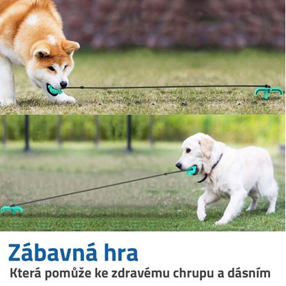 hračka pro psy