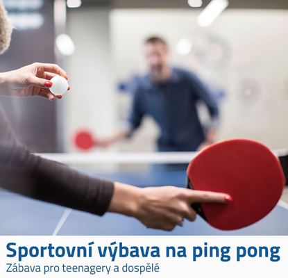 Ping pong sada 