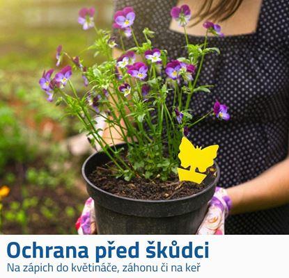 Ochrana rostlin proti hmyzu