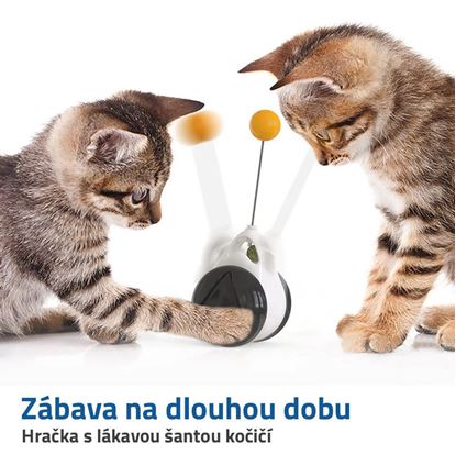 pohyblivé hračky pro kočky