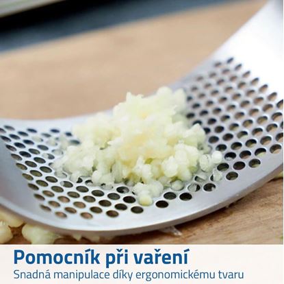 lis na česnek