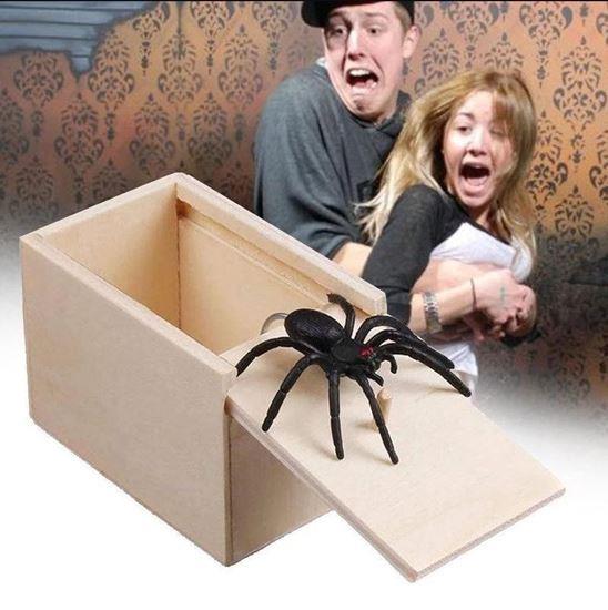 Obrázek z Pavouk v krabičce