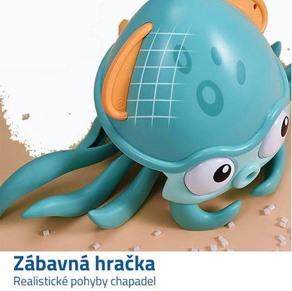 Obrázek z Dětská obojživelná chobotnice 