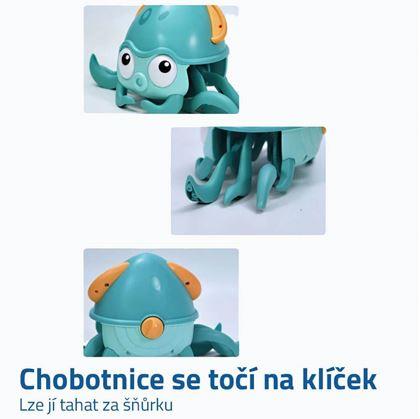 Obrázek z Dětská obojživelná chobotnice 