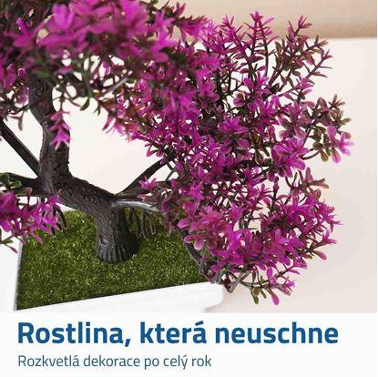 Obrázek Umělá bonsai