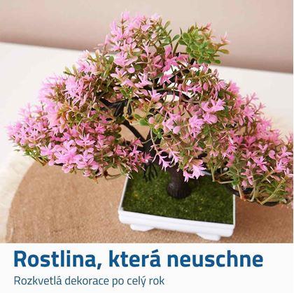 Obrázek z Umělá bonsai - růžová