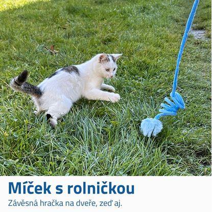 Obrázek Pružinová hračka pro kočky s míčkem