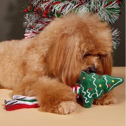 Vánoční hračka pro psy