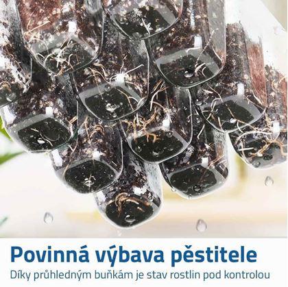 Obrázek z Minipařeniště