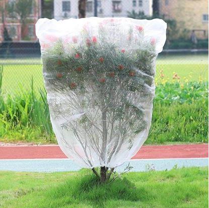 Obrázek Ochranná síť na rostliny