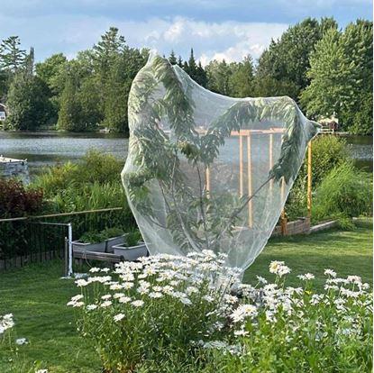 Obrázek Ochranná síť na rostliny