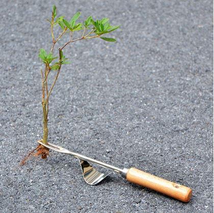 Obrázek z Vytrhávač plevele