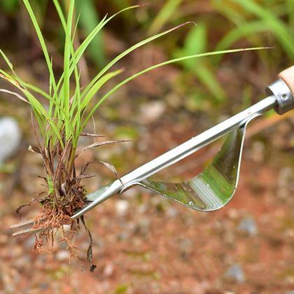 Obrázek z Vypichovač plevele s kolébkou a dřevěnou rukojetí
