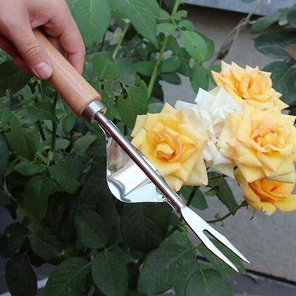 Obrázek z Vypichovač plevele s kolébkou a dřevěnou rukojetí