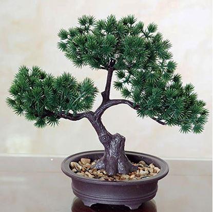 Obrázek Umělá bonsai v květináči