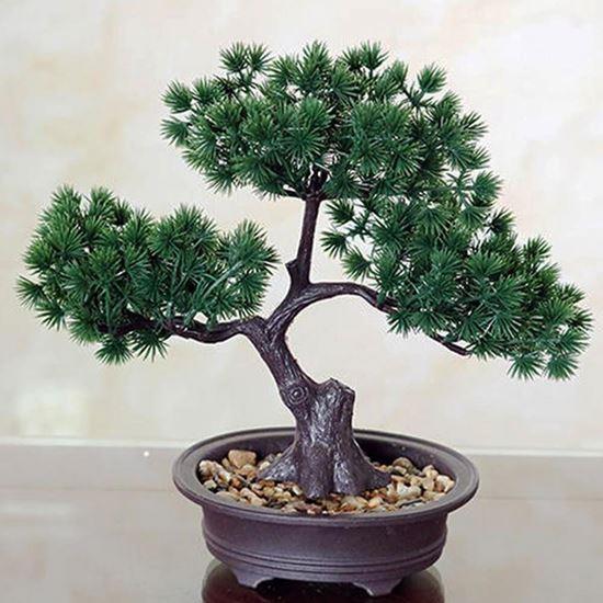 Obrázek z Umělá bonsai v květináči