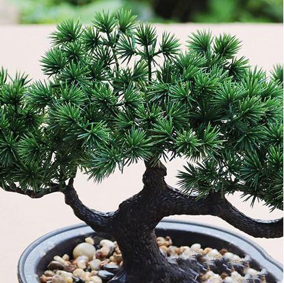 Obrázek Umělá bonsai v květináči