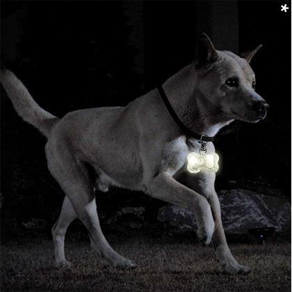 Obrázek z Svítící LED přívěsek na obojek