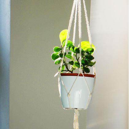 Obrázek z Macramé závěs na květináč - krémový
