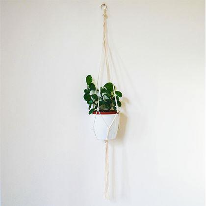 Obrázek z Macramé závěs na květináč - krémový