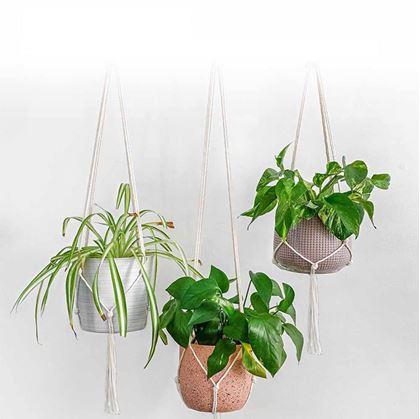 Obrázek z Macramé závěs na květináč - krémový