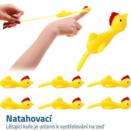Obrázek z Zábavná hra - létající kuře