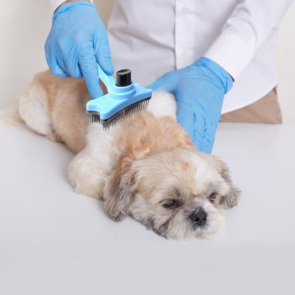 Obrázek Samočistící vyčesávací kartáč na chlupy/srst