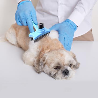 Obrázek z Samočistící vyčesávací kartáč na chlupy/srst