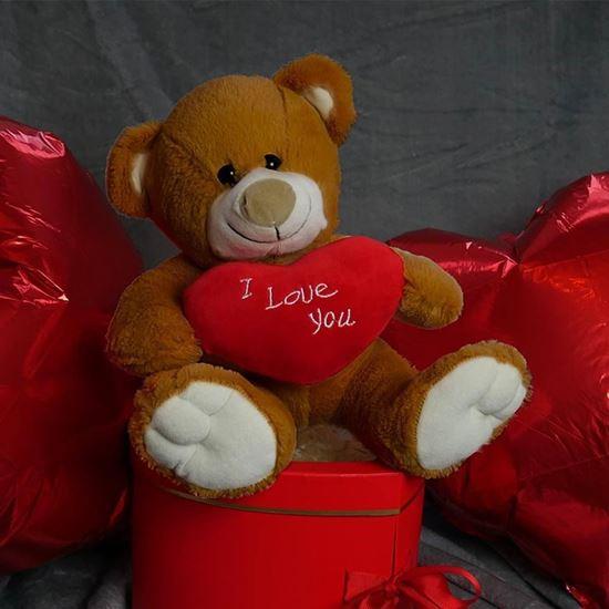 Obrázek z Plyšový medvěd - Miluji tě/I Love You
