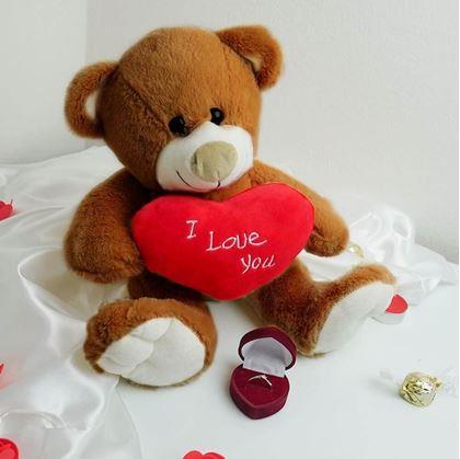 Obrázek z Plyšový medvěd - Miluji tě/I Love You