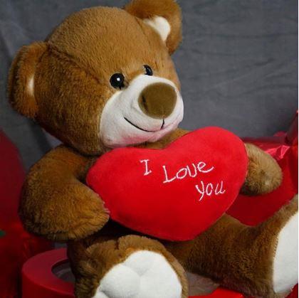 Obrázek z Plyšový medvěd - Miluji tě/I Love You