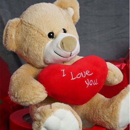 Obrázek z Plyšový medvěd - Miluji tě/I Love You