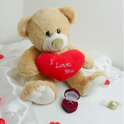 Obrázek z Plyšový medvěd - Miluji tě/I Love You
