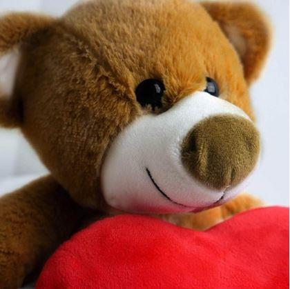 Obrázek z Plyšový medvěd - Miluji tě/I Love You