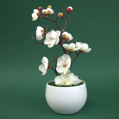 Obrázek z Umělá sakura v květináči - 30 cm