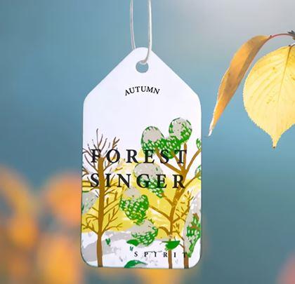 Obrázek z Aroma vůně do auta  - borovice