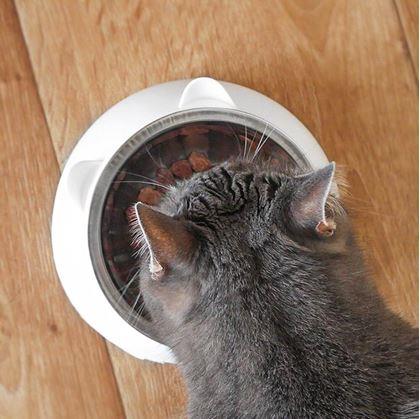 Obrázek z Miska pro kočky 2v1