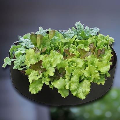 Obrázek Textilní záhon 140 l, 80 x 30 cm