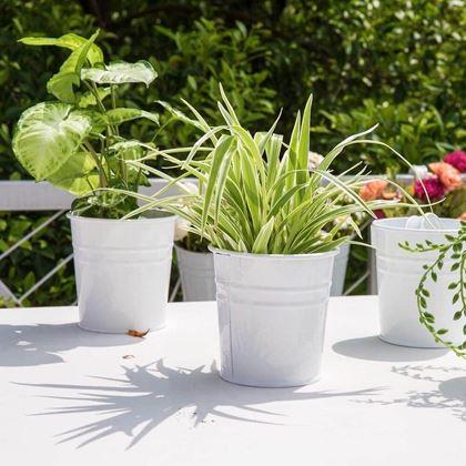 Obrázek z Závěsný květináč na balkón - bílý