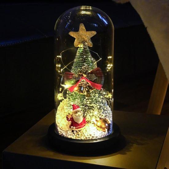 Obrázek z Svítící vánoční stromeček ve skleněné váze v dárkovém balení