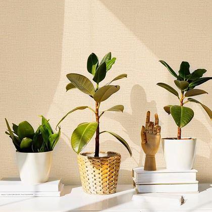Obrázek z Vinylová tapeta na zeď 300 cm - béžová