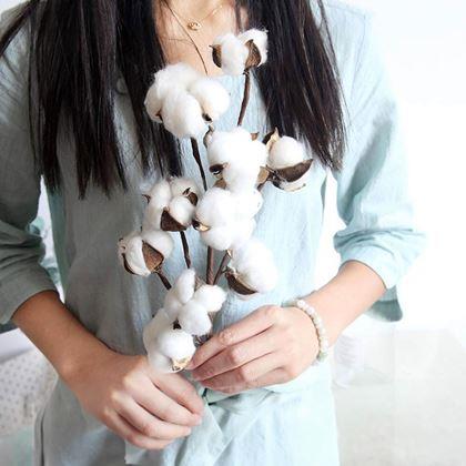 Obrázek z Umělá větvička bavlníku 50 cm